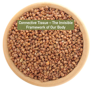 Connective Tissue – The Invisible Framework of Our Body