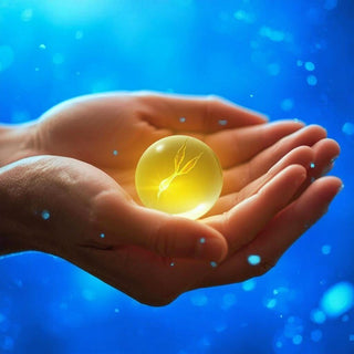 Spermidin Supports Healthy Aging