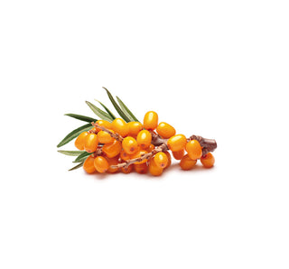 Sanatur Sea Buckthorn Fruit Pulp Oil Organic — 50 ml | 100% Pure, Cold-Pressed, Baltic Coast